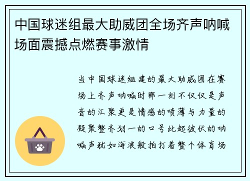 中国球迷组最大助威团全场齐声呐喊场面震撼点燃赛事激情